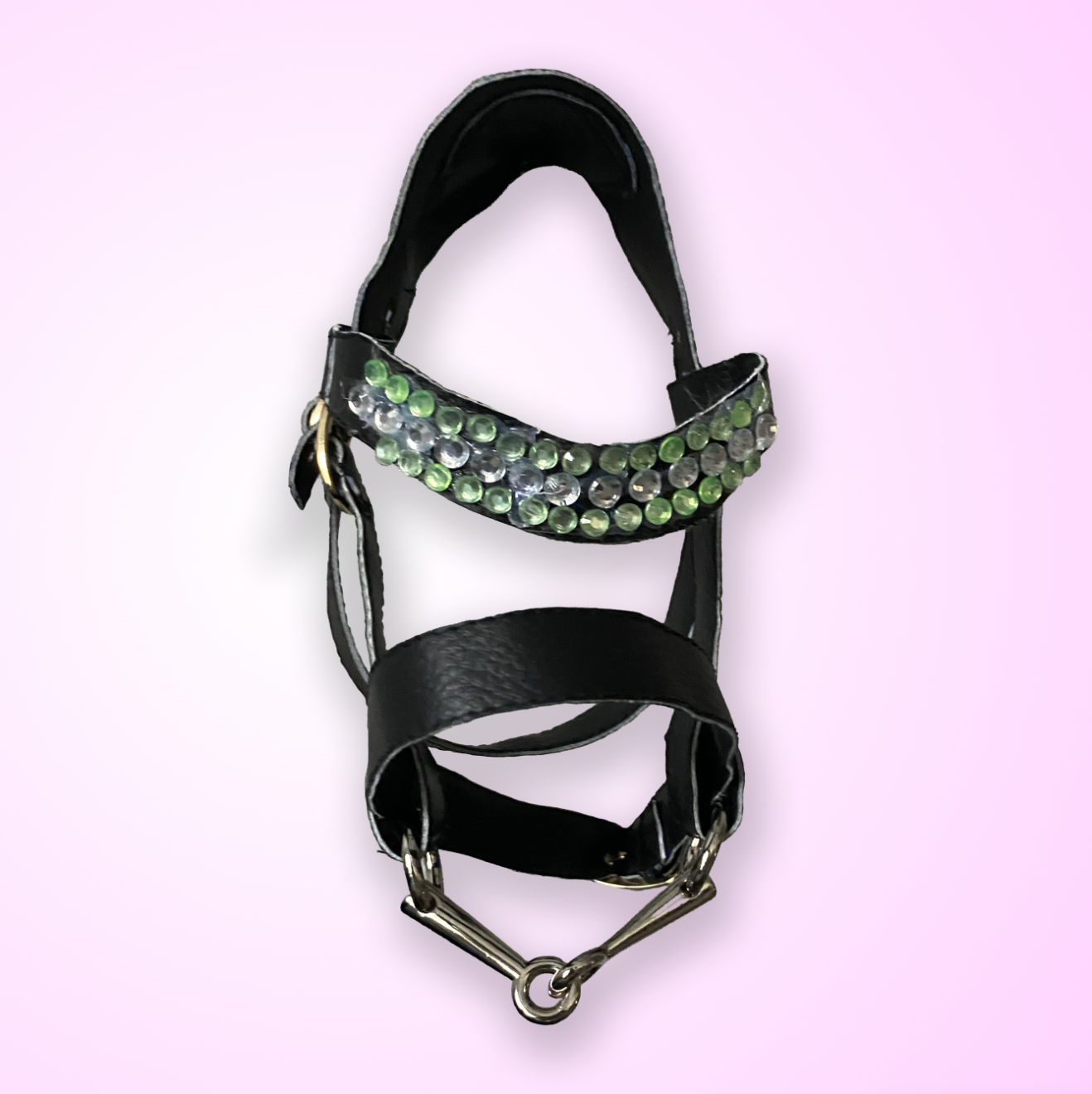 Fohlen Trense 2