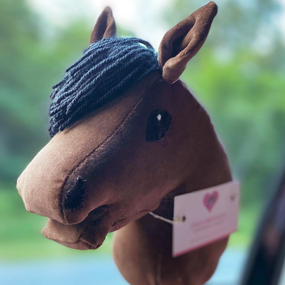 Hobby Horse Fohlen beim Hobbyhorsing Turnier