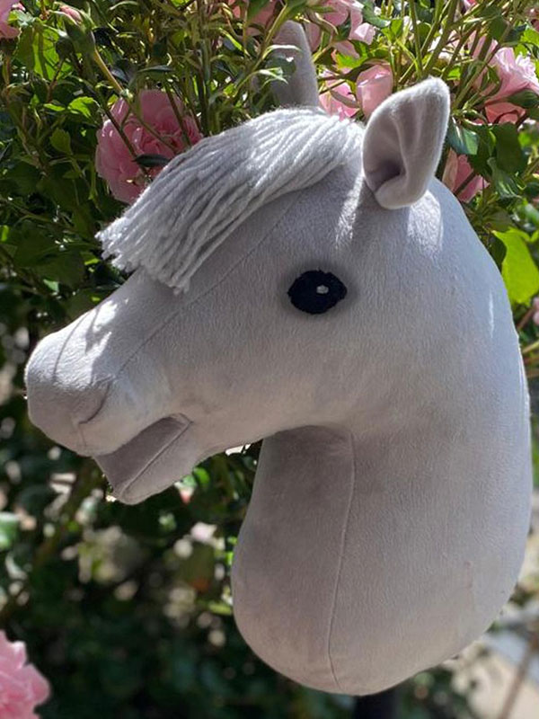 Dreamhorse